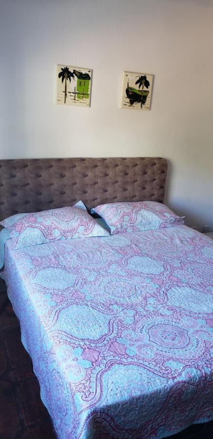 Apartamento A 20 Metros Do Mar ボンビーニャス エクステリア 写真